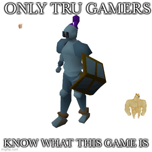 Gamers | ONLY TRU GAMERS; KNOW WHAT THIS GAME IS | image tagged in memes,runescape | made w/ Imgflip meme maker