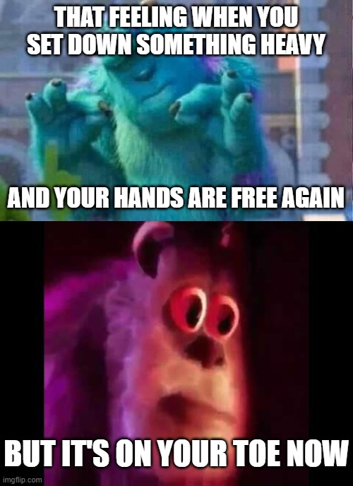 big oof | THAT FEELING WHEN YOU SET DOWN SOMETHING HEAVY; AND YOUR HANDS ARE FREE AGAIN; BUT IT'S ON YOUR TOE NOW | image tagged in sully shutdown,sully groan,memes,ouch | made w/ Imgflip meme maker
