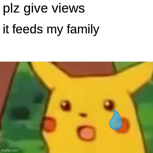 Surprised Pikachu | plz give views; it feeds my family | image tagged in memes,surprised pikachu | made w/ Imgflip meme maker