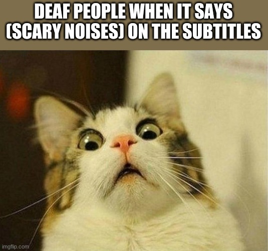 Scared Cat Meme | DEAF PEOPLE WHEN IT SAYS (SCARY NOISES) ON THE SUBTITLES | image tagged in memes,scared cat | made w/ Imgflip meme maker