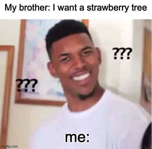 he dose this all the time |  My brother: I want a strawberry tree; me: | image tagged in nick young | made w/ Imgflip meme maker