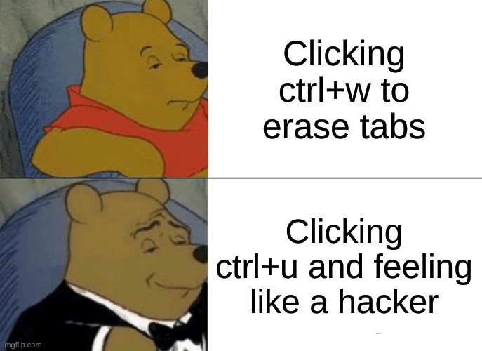 Tuxedo Winnie The Pooh | Clicking ctrl+w to erase tabs; Clicking ctrl+u and feeling like a hacker | image tagged in memes,tuxedo winnie the pooh | made w/ Imgflip meme maker