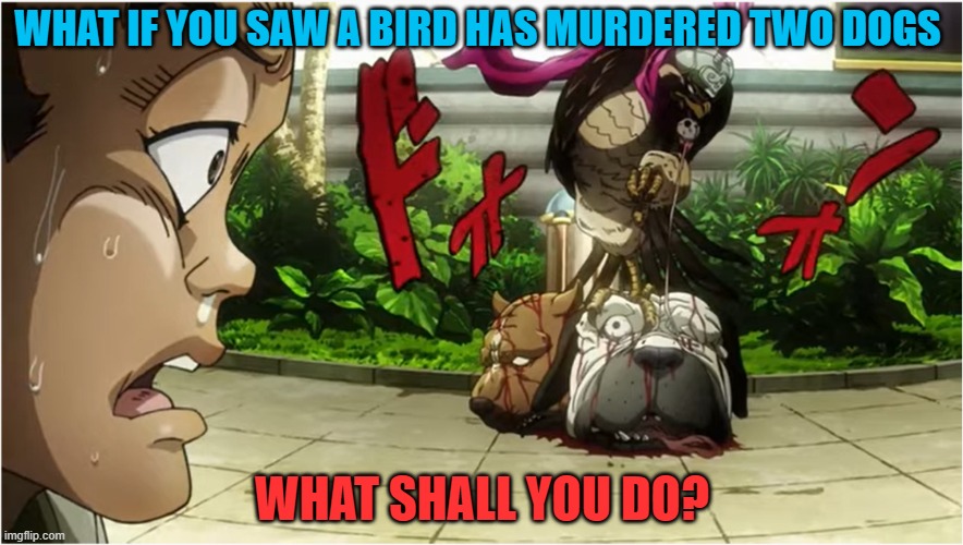 What if you meet Petshop |  WHAT IF YOU SAW A BIRD HAS MURDERED TWO DOGS; WHAT SHALL YOU DO? | image tagged in jojo's bizarre adventure | made w/ Imgflip meme maker