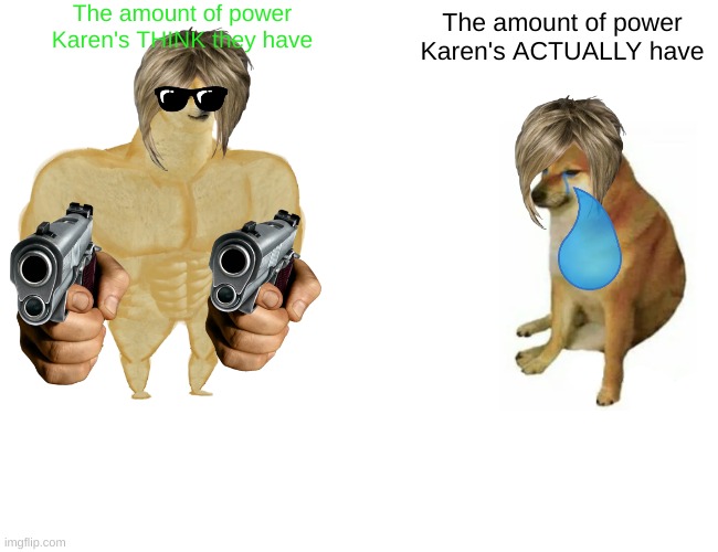 Buff Doge vs. Cheems | The amount of power Karen's THINK they have; The amount of power Karen's ACTUALLY have | image tagged in memes,buff doge vs cheems | made w/ Imgflip meme maker