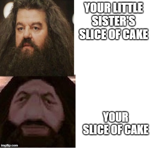 Hagrid Comparison | YOUR LITTLE SISTER'S SLICE OF CAKE; YOUR SLICE OF CAKE | image tagged in hagrid comparison | made w/ Imgflip meme maker