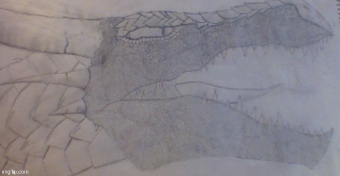 This is one of my drawings | image tagged in dragon,cool,drawing | made w/ Imgflip meme maker