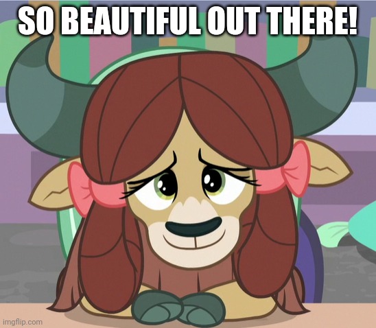 SO BEAUTIFUL OUT THERE! | made w/ Imgflip meme maker