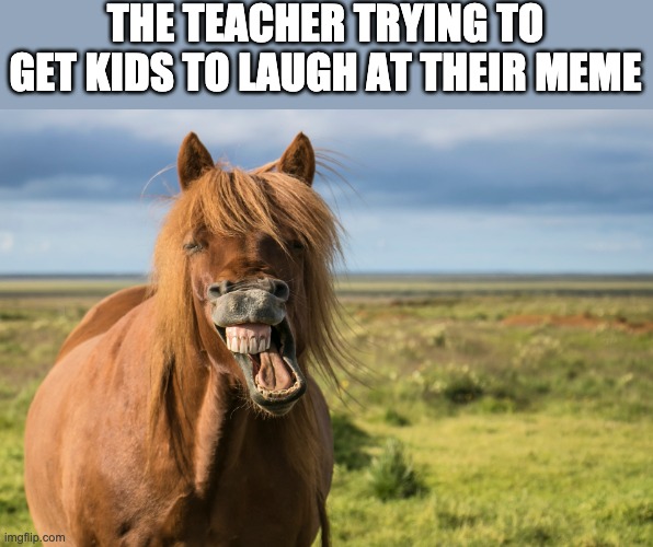 Very funny | THE TEACHER TRYING TO GET KIDS TO LAUGH AT THEIR MEME | image tagged in fun,lol so funny | made w/ Imgflip meme maker