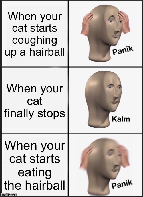 Panik Kalm Panik Meme | When your cat starts coughing up a hairball; When your cat finally stops; When your cat starts eating the hairball | image tagged in memes,cats | made w/ Imgflip meme maker