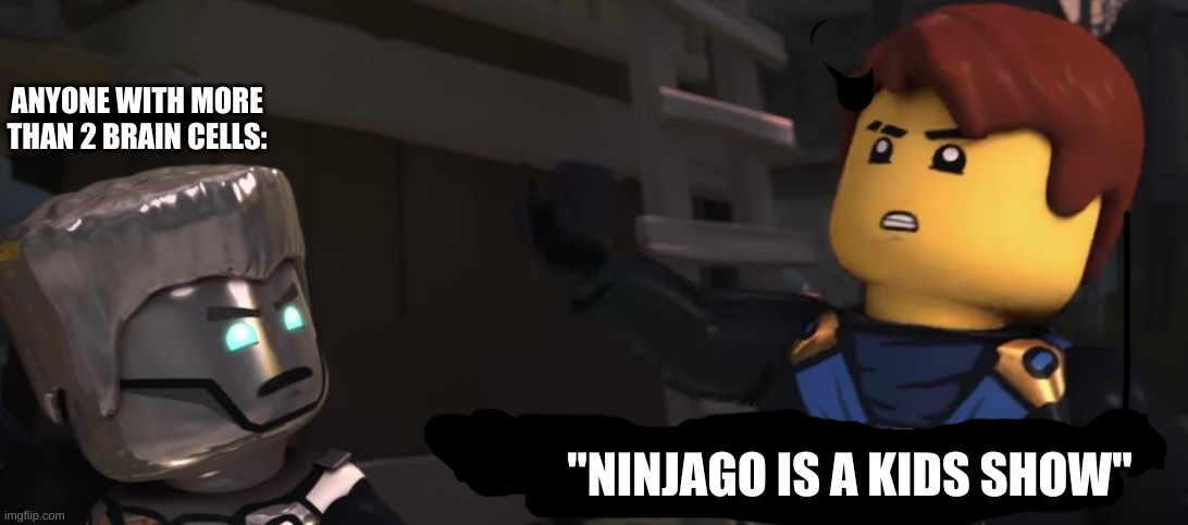 ANYONE WITH MORE THAN 2 BRAIN CELLS:; "NINJAGO IS A KIDS SHOW" | image tagged in ninja | made w/ Imgflip meme maker