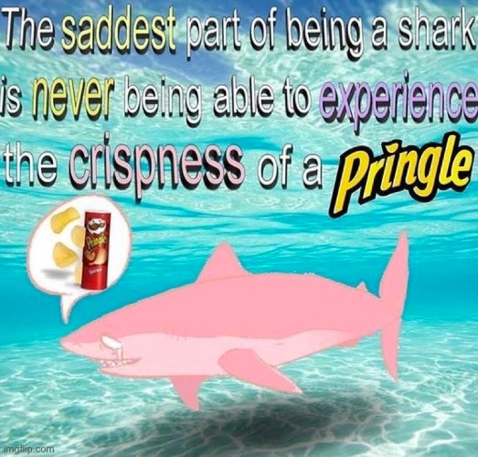 *damaged coda plays* | image tagged in memes,sharks,pringles,funny | made w/ Imgflip meme maker