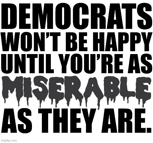 Here is wisdom. | image tagged in democrats,miserable,memes | made w/ Imgflip meme maker