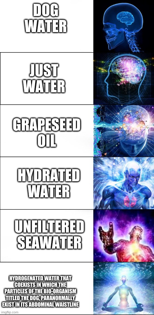 god-tier dog water | DOG WATER; JUST WATER; GRAPESEED OIL; HYDRATED WATER; UNFILTERED SEAWATER; HYDROGENATED WATER THAT COEXISTS IN WHICH THE PARTICLES OF THE BIO-ORGANISM TITLED THE DOG, PARANORMALLY EXIST IN ITS ABDOMINAL WAISTLINE | image tagged in dog water,expanding brain 5 panel,expanding brain,god tier | made w/ Imgflip meme maker