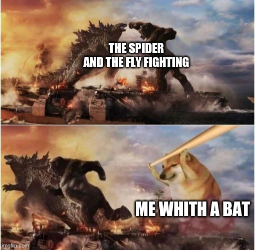 the spider and the fly be gone | THE SPIDER AND THE FLY FIGHTING; ME WHITH A BAT | image tagged in kong godzilla doge | made w/ Imgflip meme maker