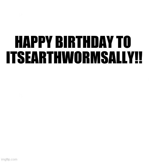 happy b-day! | HAPPY BIRTHDAY TO 
ITSEARTHWORMSALLY!! | image tagged in just white | made w/ Imgflip meme maker