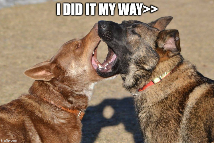 I DID IT MY WAY>> | image tagged in bad pun dog | made w/ Imgflip meme maker