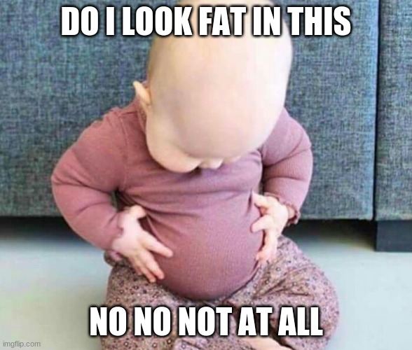 do i look fat |  DO I LOOK FAT IN THIS; NO NO NOT AT ALL | image tagged in fat baby | made w/ Imgflip meme maker