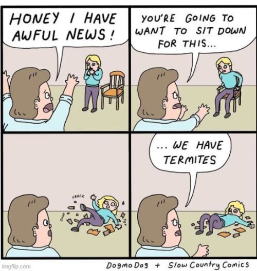 termites | made w/ Imgflip meme maker