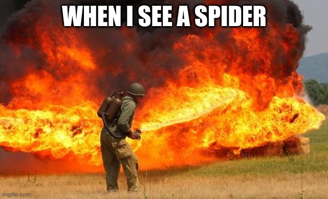 Nope flamethrower | WHEN I SEE A SPIDER | image tagged in nope flamethrower | made w/ Imgflip meme maker
