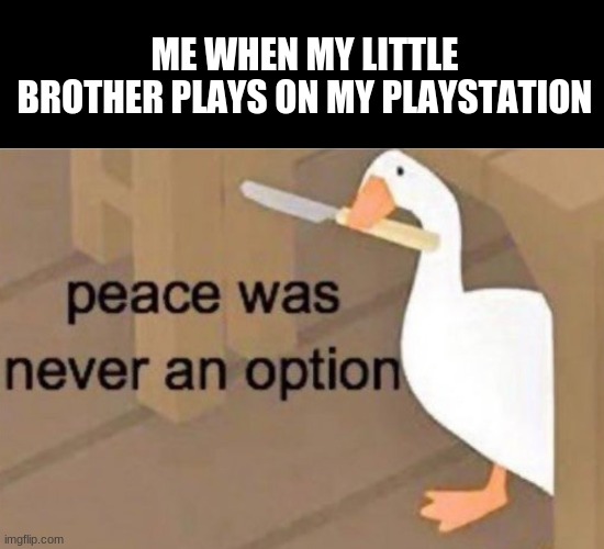 Bye bye brother | ME WHEN MY LITTLE BROTHER PLAYS ON MY PLAYSTATION | image tagged in peace was never an option | made w/ Imgflip meme maker