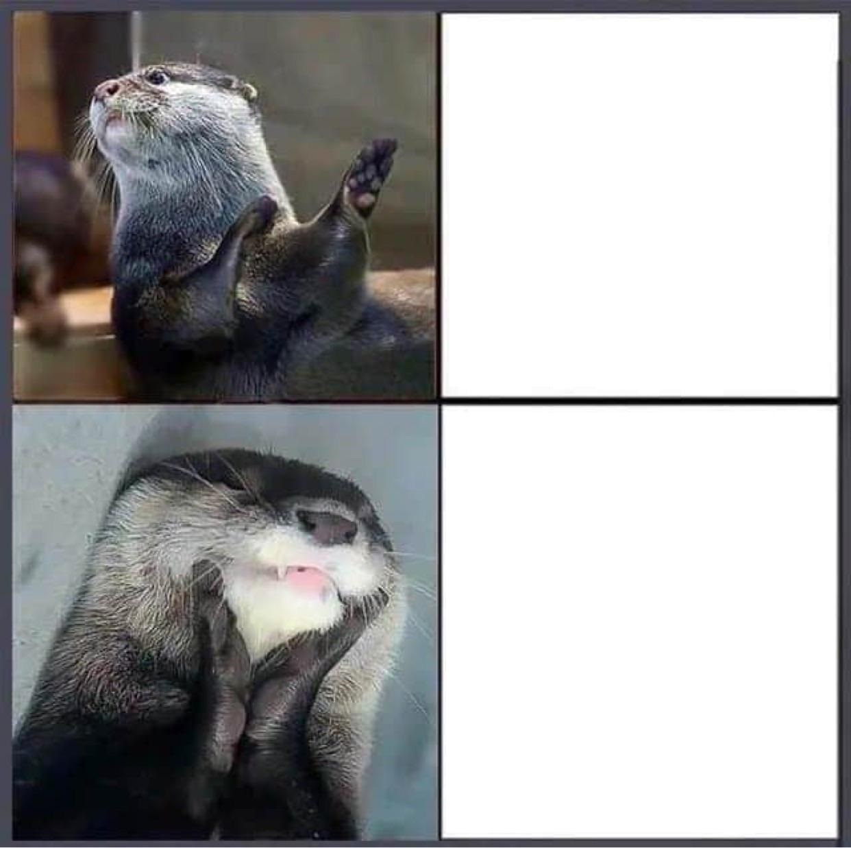 High Quality Otter Drake Blank Meme Template
