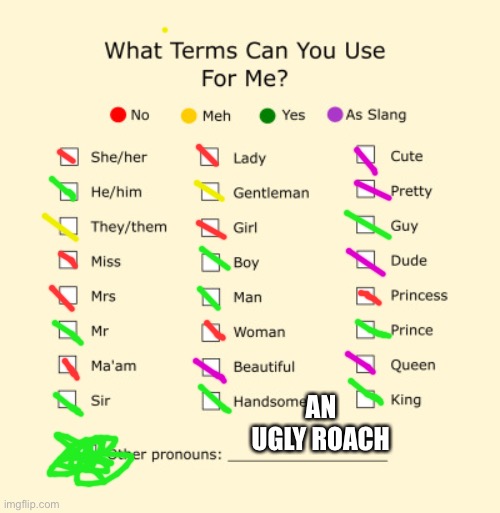 I’m an ugly Roach :D | AN UGLY ROACH | image tagged in pronouns sheet | made w/ Imgflip meme maker