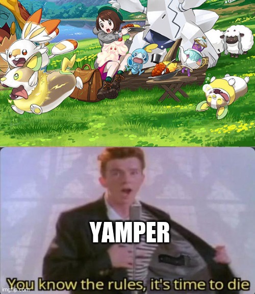 YAMPER | image tagged in oh no scorbunny look out | made w/ Imgflip meme maker