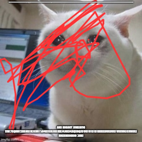 Crying cat | DKMCFLE3MMMMMMMMMODMEWLPWESKDMWLDEK,LWSE;L,;L.D,LSFKTMOTKLFKORFKRFKOFRKOKFOKORFROKREKOKOPKOPKOPRQCKORPOCJFKOPKFRREOEDKFUCLPDOKCFOJK8UFR8U8U8RU8FU8UREJNHICJNEIDOJKEIOFDIKOKIDCOFNIJKOFOIJIOFHNJIJFNHCNJINHAJIDNHJANHJICDONCDHDBHBDCHDBHDBHDCHBDHBDBHXHBBHDCBHDCBHHBDBCBHCDDCBHBHFHACJDNENCDDENHCN; AND NOBODY JUNBIH90 VJW2BQNWJ3DBNBEIKJGVNT5R4KFIIJRJRDJIDIJ4JOIIJ4JIQIJOQJIFOUFUFRFRFHHIRRHURHURFVURVNGUJVNUBJ IOK[HNI[OH0IO 3HNJ | image tagged in crying cat | made w/ Imgflip meme maker