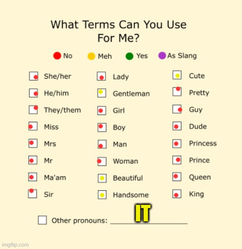 Pronouns Sheet | IT | image tagged in pronouns sheet | made w/ Imgflip meme maker