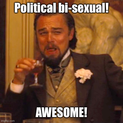 Laughing Leo Meme | Political bi-sexual! AWESOME! | image tagged in memes,laughing leo | made w/ Imgflip meme maker
