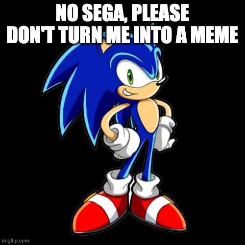 You're Too Slow Sonic Meme | NO SEGA, PLEASE DON'T TURN ME INTO A MEME | image tagged in memes,you're too slow sonic | made w/ Imgflip meme maker