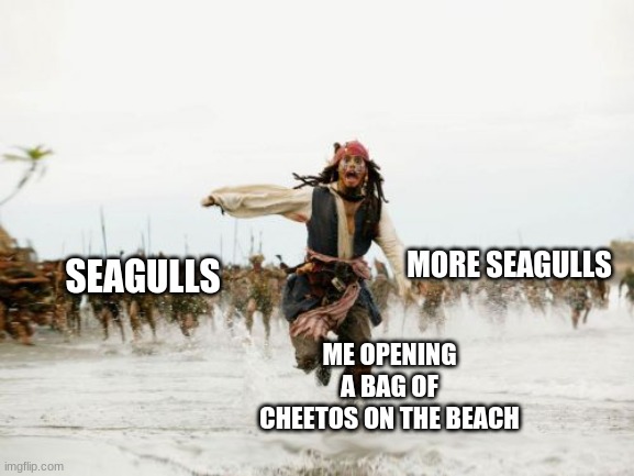 seagulls meme | MORE SEAGULLS; SEAGULLS; ME OPENING A BAG OF CHEETOS ON THE BEACH | image tagged in memes,jack sparrow being chased,so true memes | made w/ Imgflip meme maker