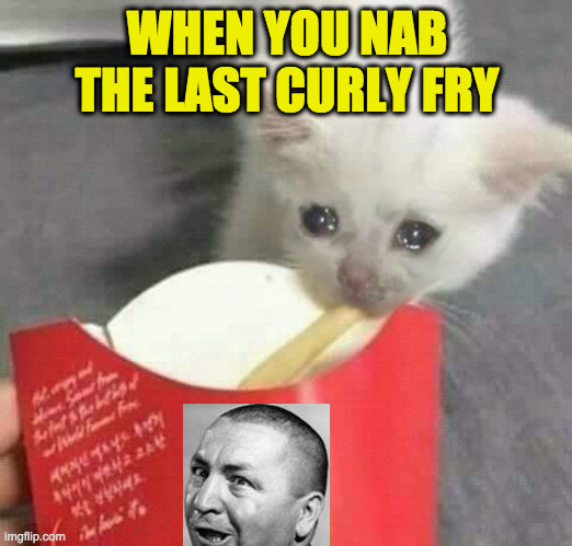 Love me some Curly | WHEN YOU NAB THE LAST CURLY FRY | image tagged in cat last of french fries mcdonalds,memes,curly | made w/ Imgflip meme maker