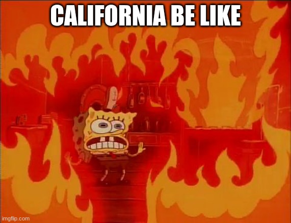 BURN BITCH,   B    U    R    N | CALIFORNIA BE LIKE | image tagged in burning spongebob | made w/ Imgflip meme maker