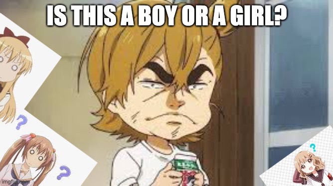 ANIME? | IS THIS A BOY OR A GIRL? | image tagged in anime | made w/ Imgflip meme maker