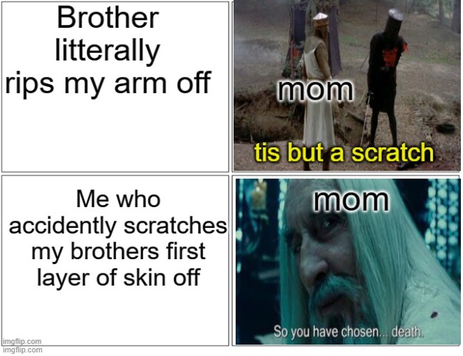 Wait mom i can explain!! | image tagged in mom,siblings,rip | made w/ Imgflip meme maker
