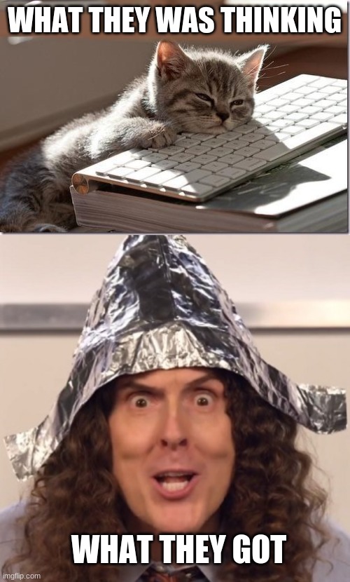 WHAT THEY WAS THINKING WHAT THEY GOT | image tagged in bored keyboard cat,weird al tinfoil hat | made w/ Imgflip meme maker
