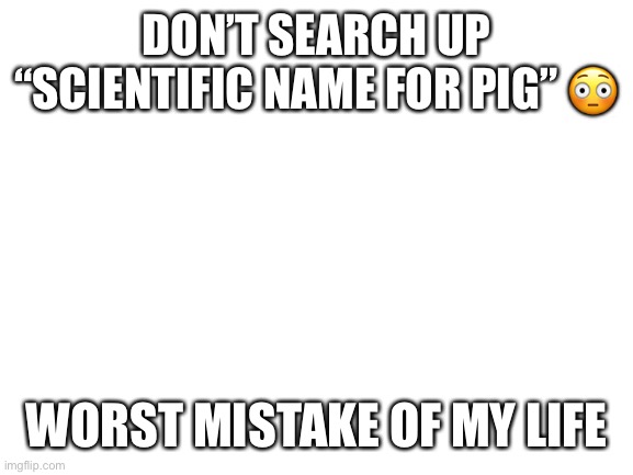 Don’t do it guys | DON’T SEARCH UP “SCIENTIFIC NAME FOR PIG” 😳; WORST MISTAKE OF MY LIFE | image tagged in blank white template,memes,amogus,pig,sus | made w/ Imgflip meme maker