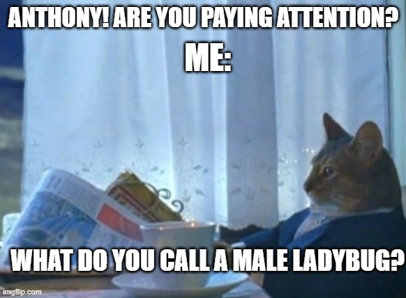 Who Knows... | ME:; ANTHONY! ARE YOU PAYING ATTENTION? WHAT DO YOU CALL A MALE LADYBUG? | image tagged in memes,i should buy a boat cat | made w/ Imgflip meme maker