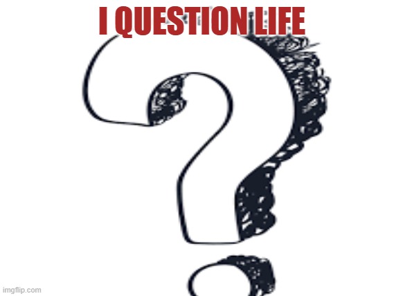 i really do | I QUESTION LIFE | image tagged in life sucks | made w/ Imgflip meme maker