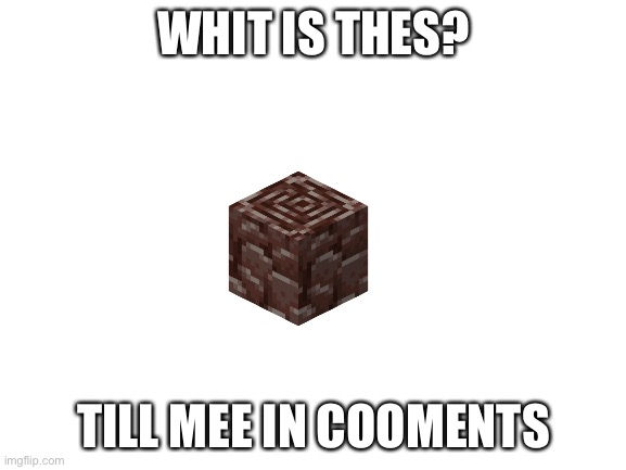 MiniCraft | WHIT IS THES? TILL MEE IN COOMENTS | image tagged in blank white template | made w/ Imgflip meme maker