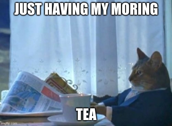 I Should Buy A Boat Cat | JUST HAVING MY MORING; TEA | image tagged in memes,i should buy a boat cat | made w/ Imgflip meme maker