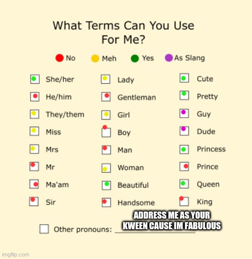 Pronouns Sheet | ADDRESS ME AS YOUR KWEEN CAUSE IM FABULOUS | image tagged in pronouns sheet | made w/ Imgflip meme maker