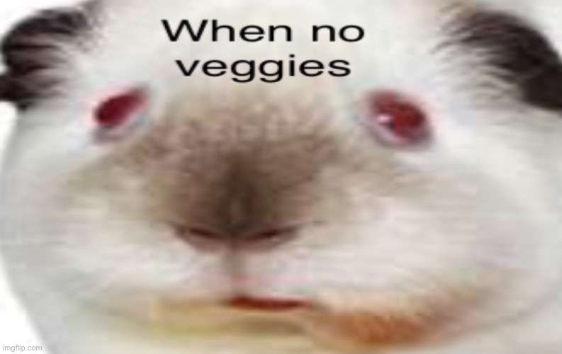 No veg | image tagged in memes | made w/ Imgflip meme maker