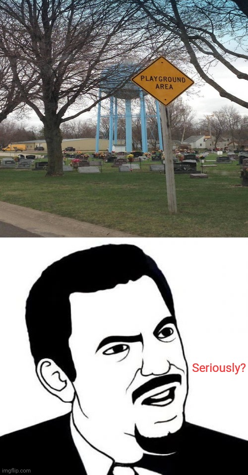 Playground area sign | Seriously? | image tagged in memes,seriously face,meme,playground,you had one job,signs | made w/ Imgflip meme maker