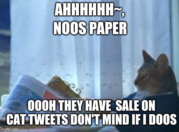 I Should Buy A Boat Cat | AHHHHHH~, NOOS PAPER; OOOH THEY HAVE  SALE ON CAT TWEETS DON'T MIND IF I DOOS | image tagged in memes,i should buy a boat cat | made w/ Imgflip meme maker