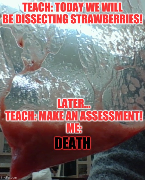 Science | TEACH: TODAY WE WILL BE DISSECTING STRAWBERRIES! LATER...
TEACH: MAKE AN ASSESSMENT!

ME:; DEATH | image tagged in strawberry,death,science | made w/ Imgflip meme maker