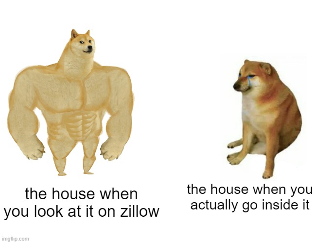 zillow |  the house when you actually go inside it; the house when you look at it on zillow | image tagged in memes,buff doge vs cheems | made w/ Imgflip meme maker