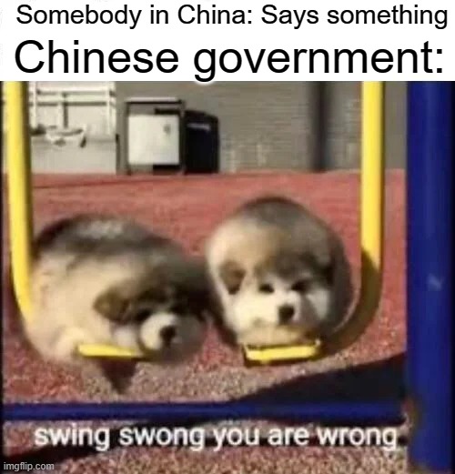 SWING SWONG YOU ARE WRONG | Somebody in China: Says something; Chinese government: | image tagged in swing swong you are wrong | made w/ Imgflip meme maker