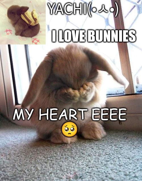 Yachi's bunny temp | MY HEART EEEE
🥺 | image tagged in yachi's bunny temp | made w/ Imgflip meme maker